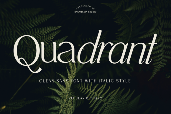 Quadrant: A Designer's Verdict on This Bold Sans Serif