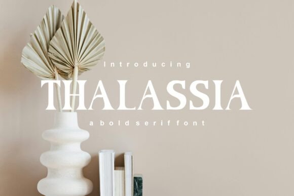 Thalassia Typeface Review: A Bold Serif for Playful Branding