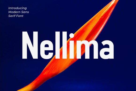 Why Nellima Is the Perfect Sans Serif for Bold Editorial Design