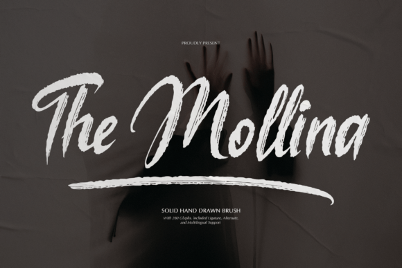 Why The Mollina Transformed Our Hero Section
